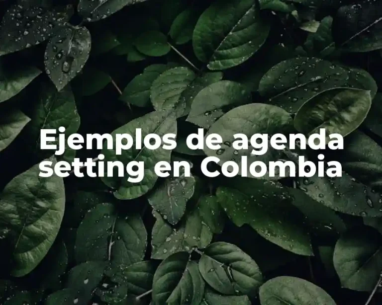 Ejemplos de agenda setting en Colombia