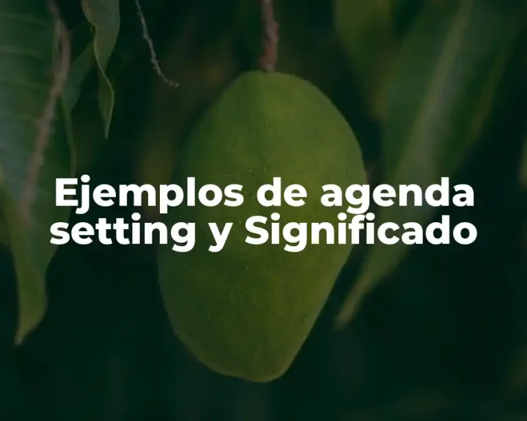 Ejemplos de agenda setting y Significado