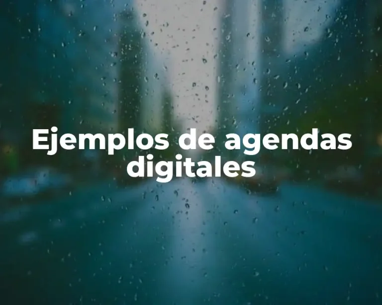 Ejemplos de agendas digitales