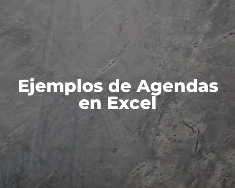Ejemplos de Agendas en Excel