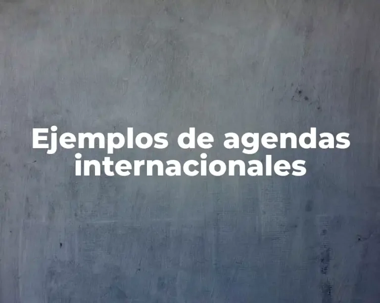 Ejemplos de agendas internacionales