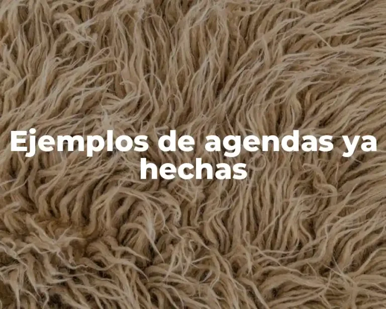 Ejemplos de agendas ya hechas