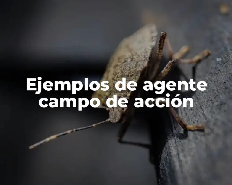 Ejemplos de agente campo de acción