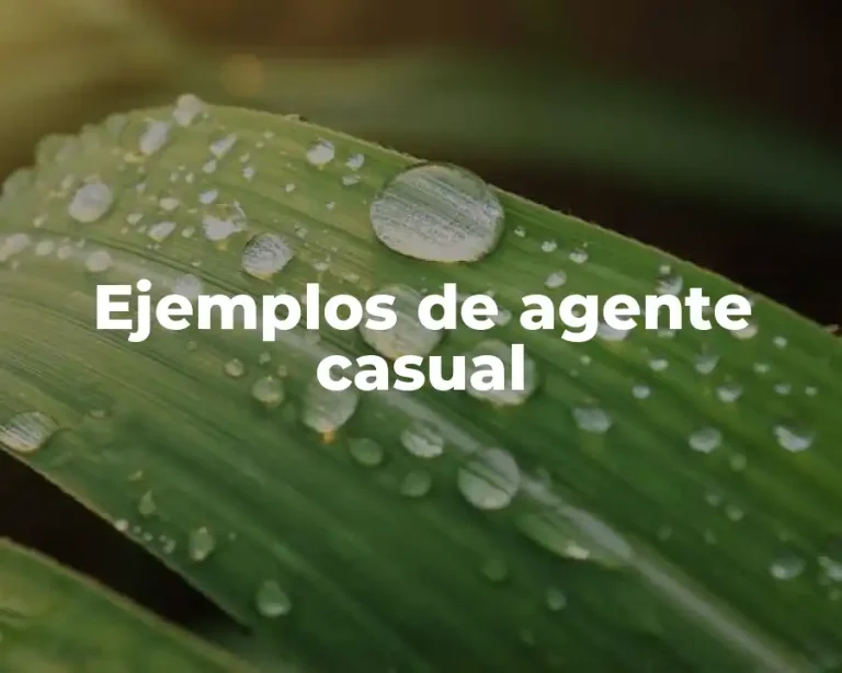 Ejemplos de agente casual