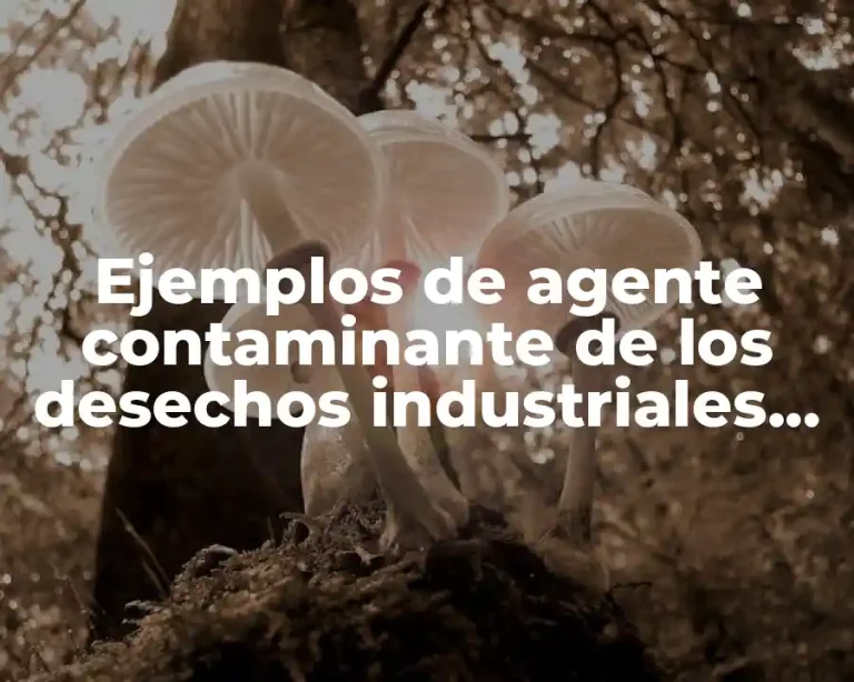 Ejemplos de agente contaminante de los desechos industriales del suelo