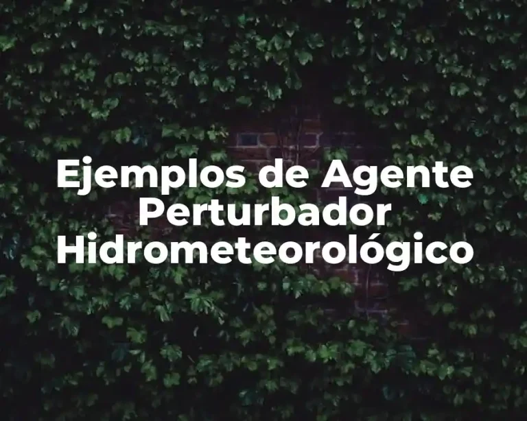 Ejemplos de Agente Perturbador Hidrometeorológico