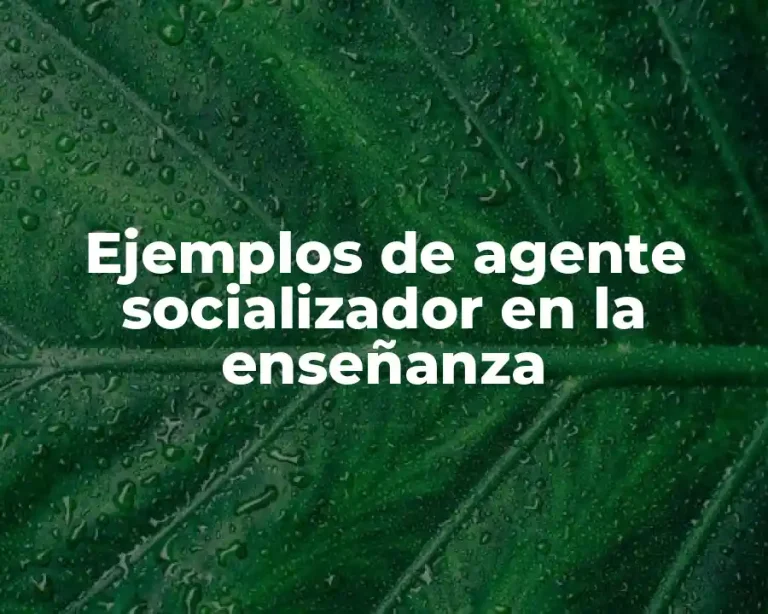 Ejemplos de agente socializador en la enseñanza