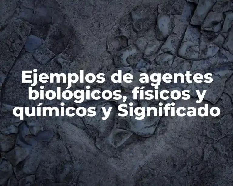 Ejemplos de agentes biológicos, físicos y químicos y Significado