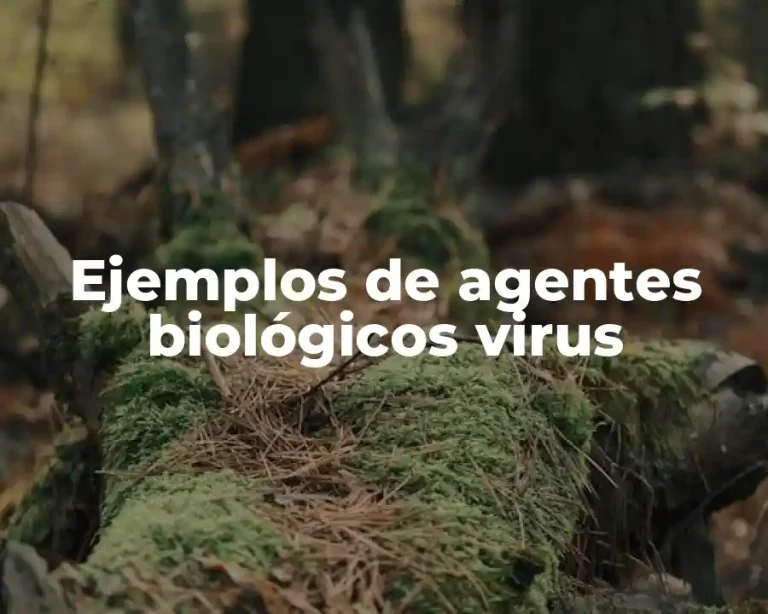 Ejemplos de agentes biológicos virus
