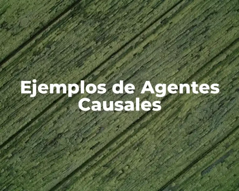 Ejemplos de Agentes Causales