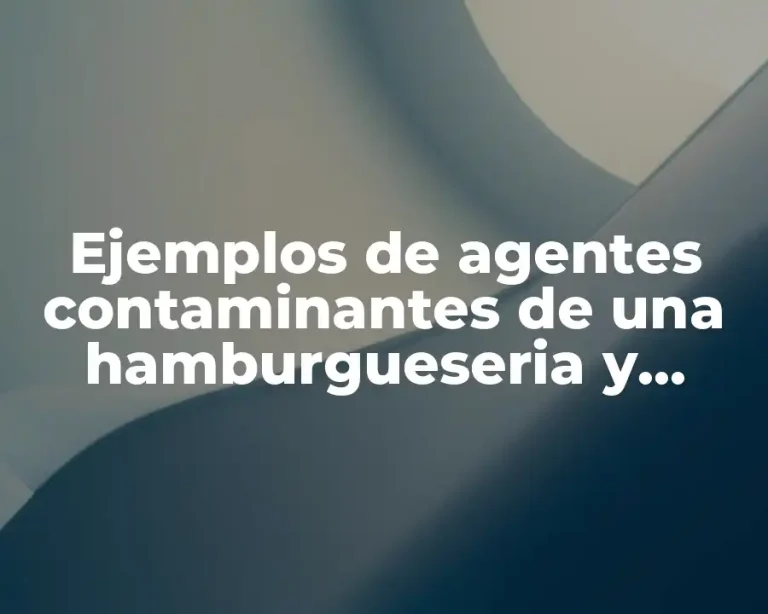 Ejemplos de agentes contaminantes de una hamburgueseria y como evitarlo y Significado