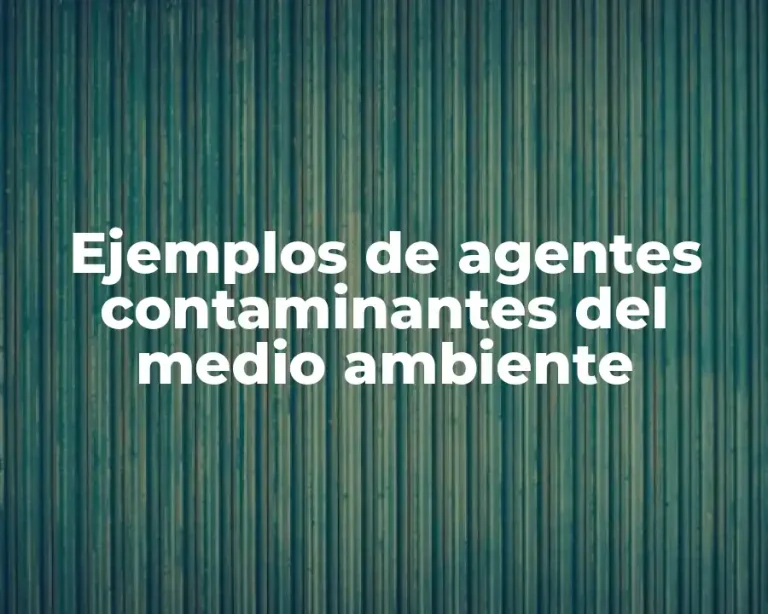 Ejemplos de agentes contaminantes del medio ambiente