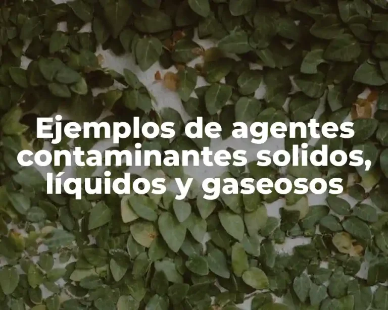 Ejemplos de agentes contaminantes solidos, líquidos y gaseosos