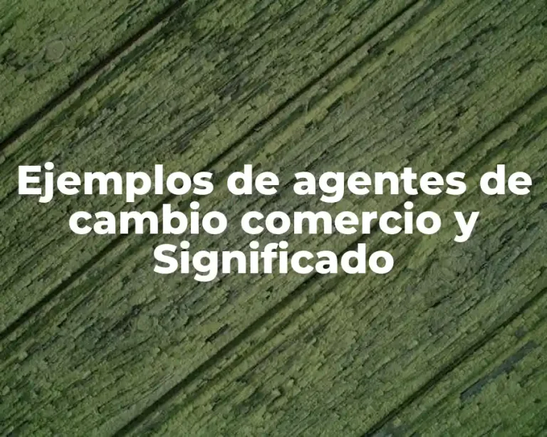 Ejemplos de agentes de cambio comercio y Significado