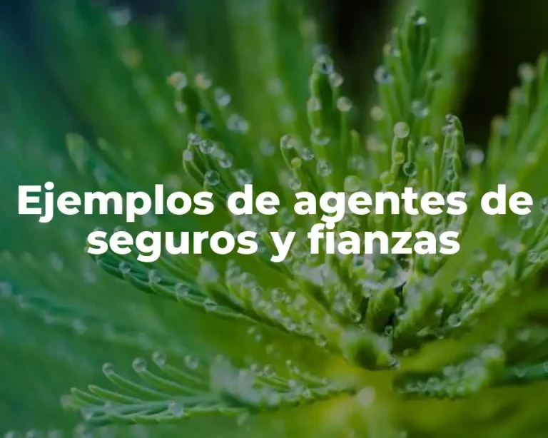 Ejemplos de agentes de seguros y fianzas
