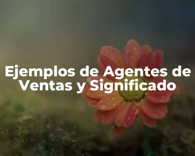 Ejemplos de Agentes de Ventas y Significado