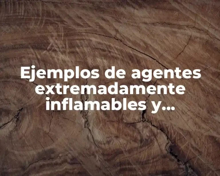 Ejemplos de agentes extremadamente inflamables y Significado