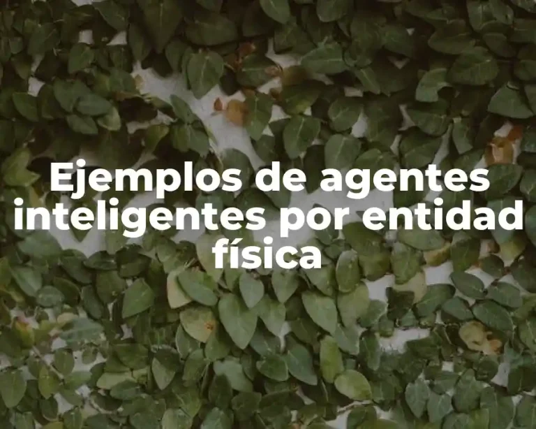 Ejemplos de agentes inteligentes por entidad física