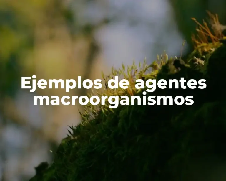 Ejemplos de agentes macroorganismos