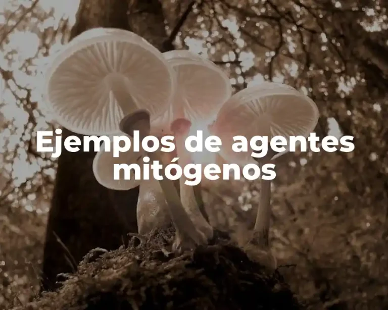 Ejemplos de agentes mitógenos