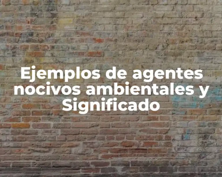 Ejemplos de agentes nocivos ambientales y Significado
