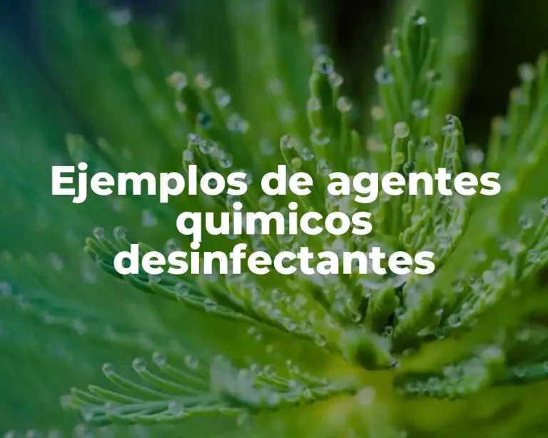 Ejemplos de agentes quimicos desinfectantes