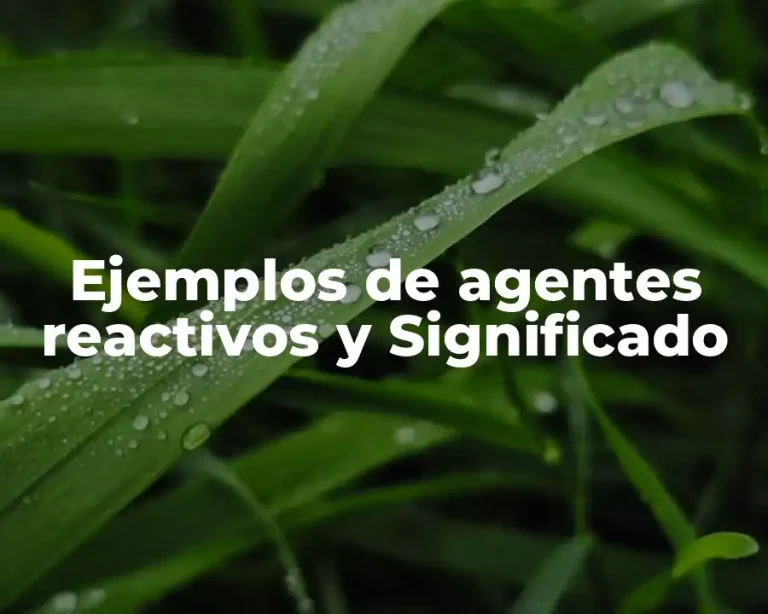 Ejemplos de agentes reactivos y Significado