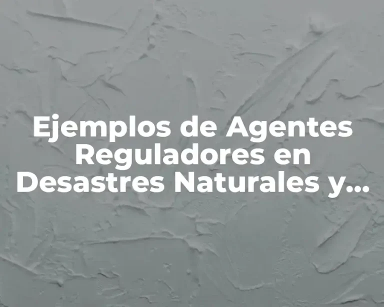 Ejemplos de Agentes Reguladores en Desastres Naturales y Significado