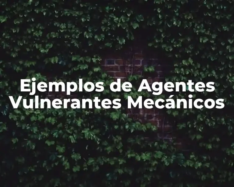 Ejemplos de Agentes Vulnerantes Mecánicos