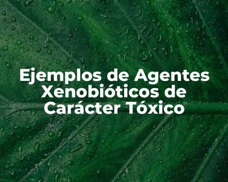 Ejemplos de Agentes Xenobióticos de Carácter Tóxico