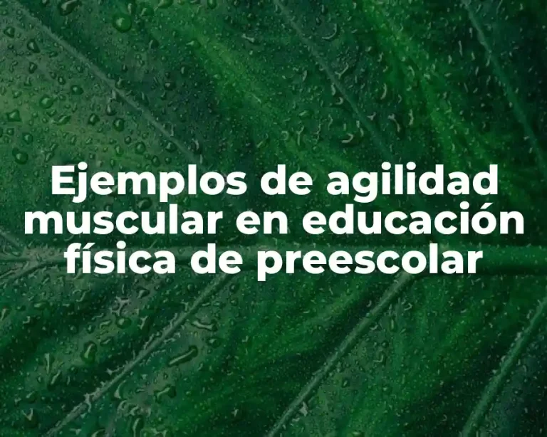 Ejemplos de agilidad muscular en educación física de preescolar