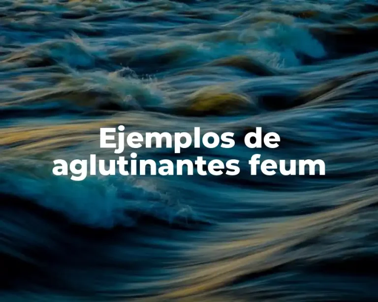 Ejemplos de aglutinantes feum