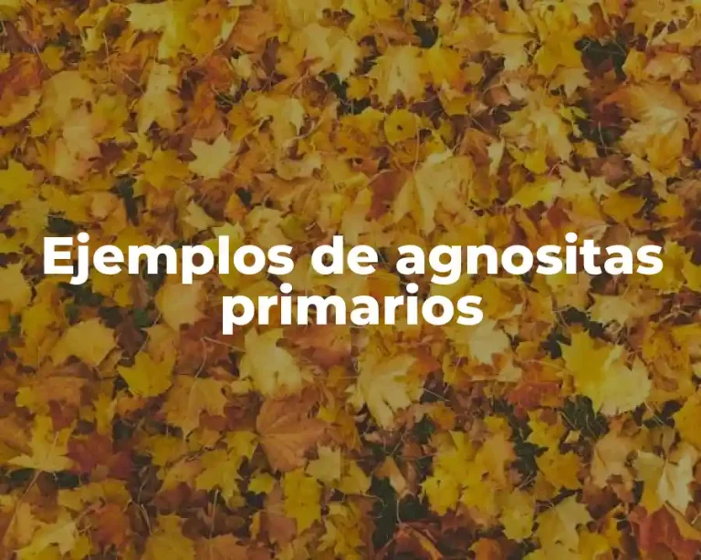 Ejemplos de agnositas primarios