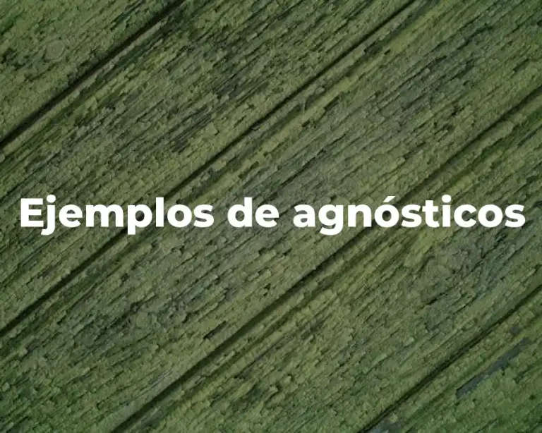 Ejemplos de agnósticos