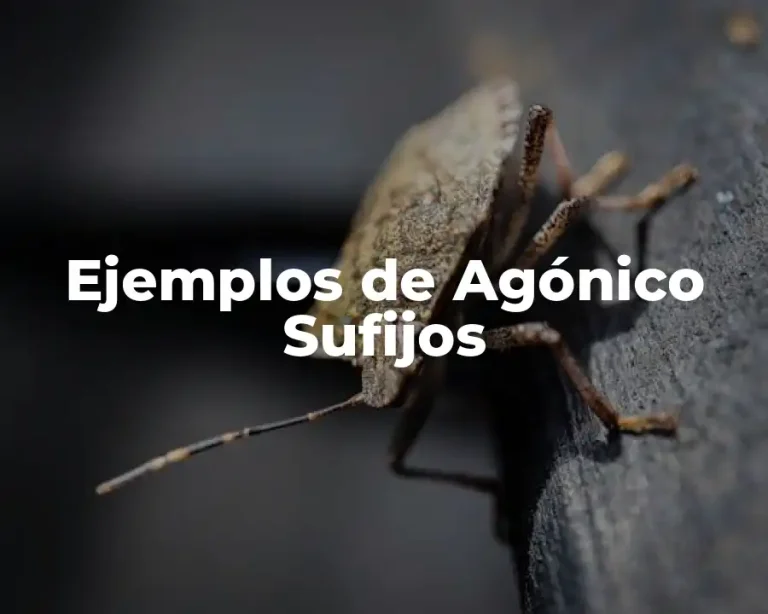 Ejemplos de Agónico Sufijos
