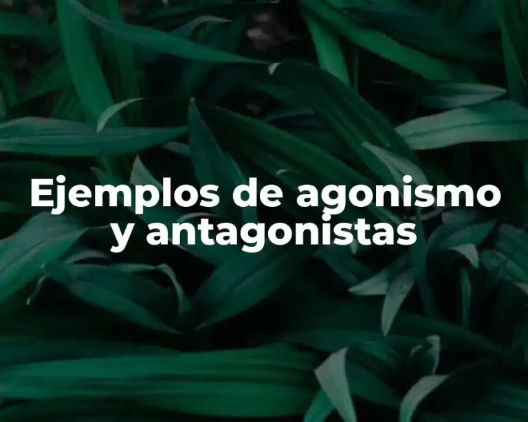 Ejemplos de agonismo y antagonistas