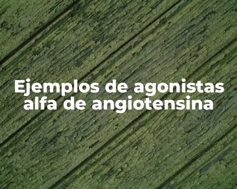 Ejemplos de agonistas alfa de angiotensina