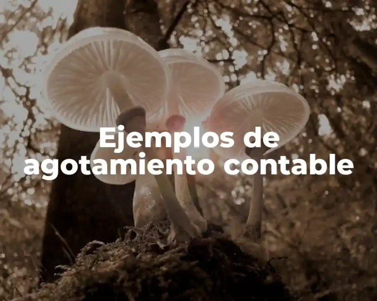 Ejemplos de agotamiento contable