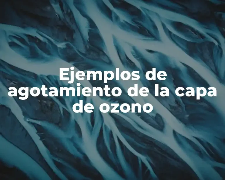Ejemplos de agotamiento de la capa de ozono