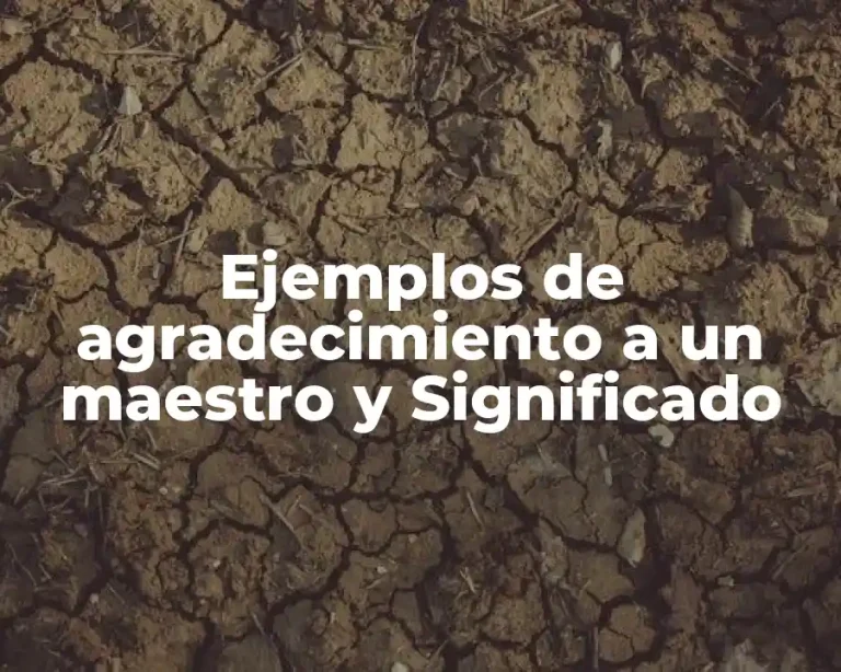Ejemplos de agradecimiento a un maestro y Significado