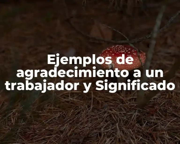 Ejemplos de agradecimiento a un trabajador y Significado