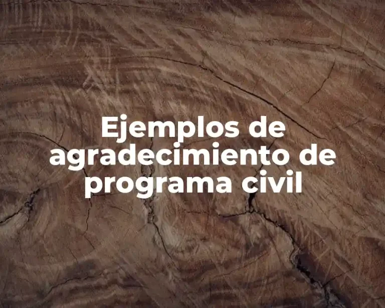 Ejemplos de agradecimiento de programa civil