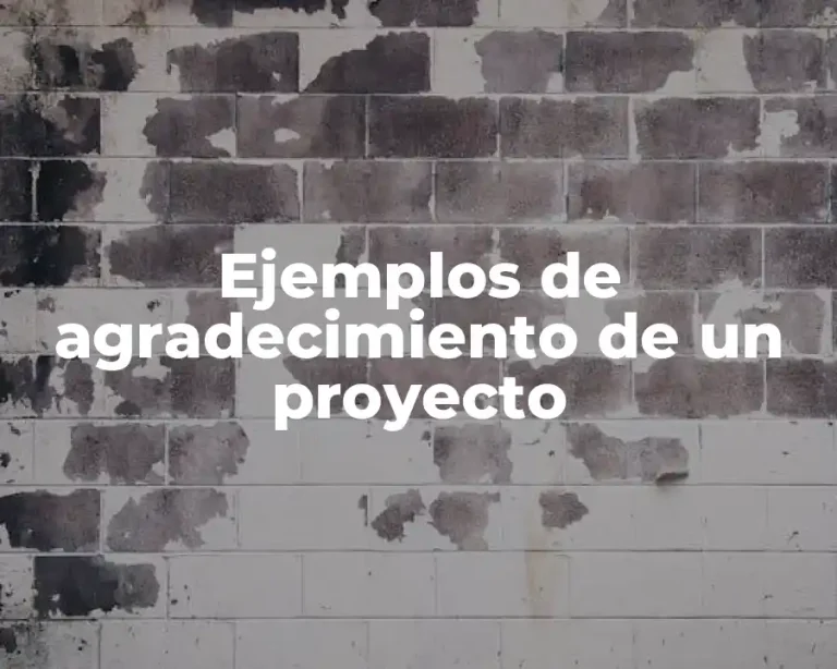 Ejemplos de agradecimiento de un proyecto