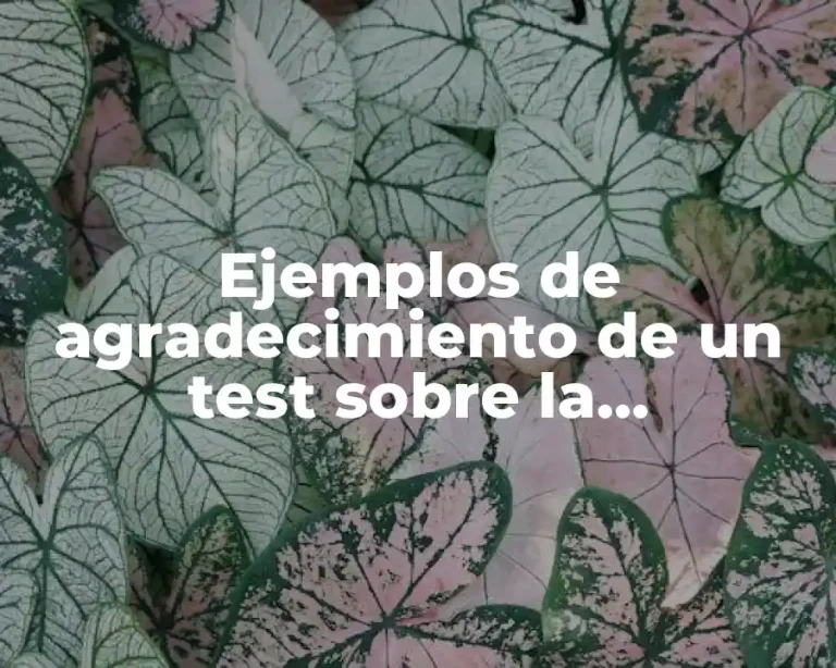 Ejemplos de agradecimiento de un test sobre la comunicación laboral
