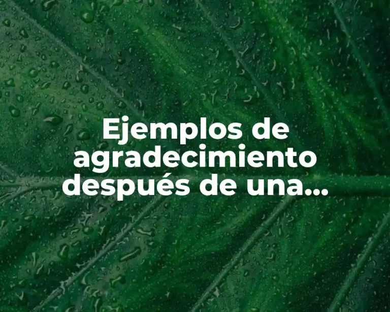 Ejemplos de agradecimiento después de una entrevista