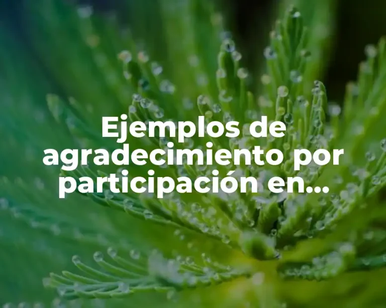Ejemplos de agradecimiento por participación en conferencia