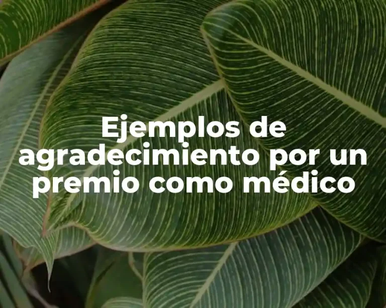 Ejemplos de agradecimiento por un premio como médico