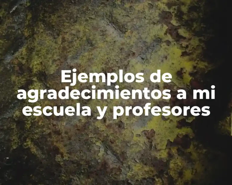Ejemplos de agradecimientos a mi escuela y profesores