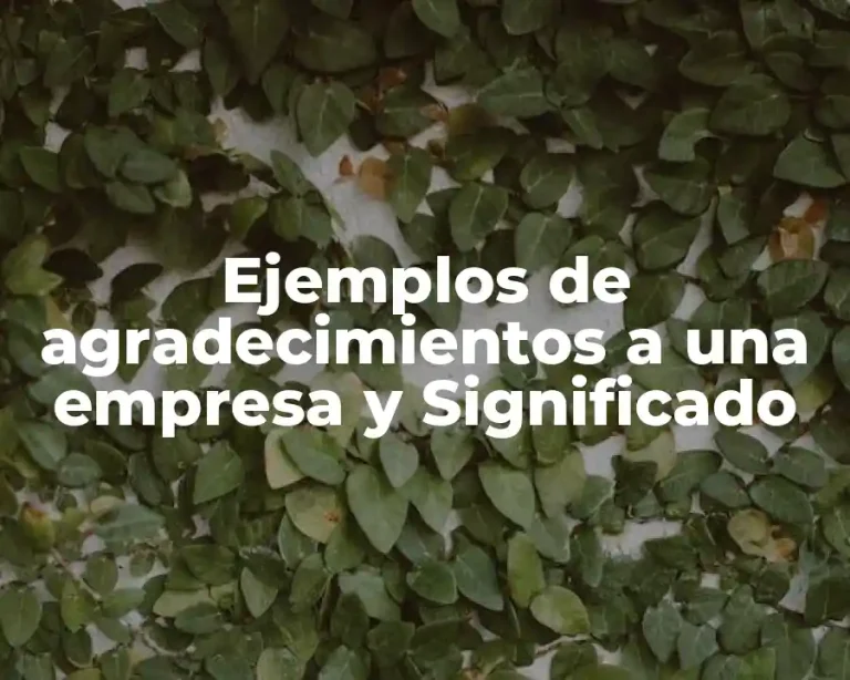 Ejemplos de agradecimientos a una empresa y Significado