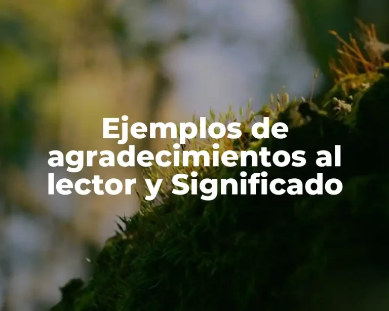 Ejemplos de agradecimientos al lector y Significado